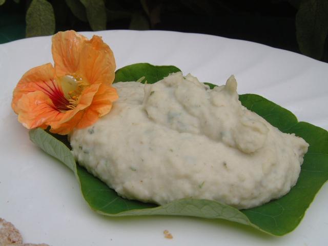 Dream bean  dip